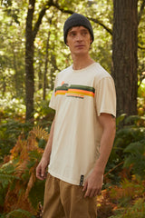 Bear Color Striped Light beige