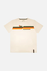 Bear Color Striped Light beige