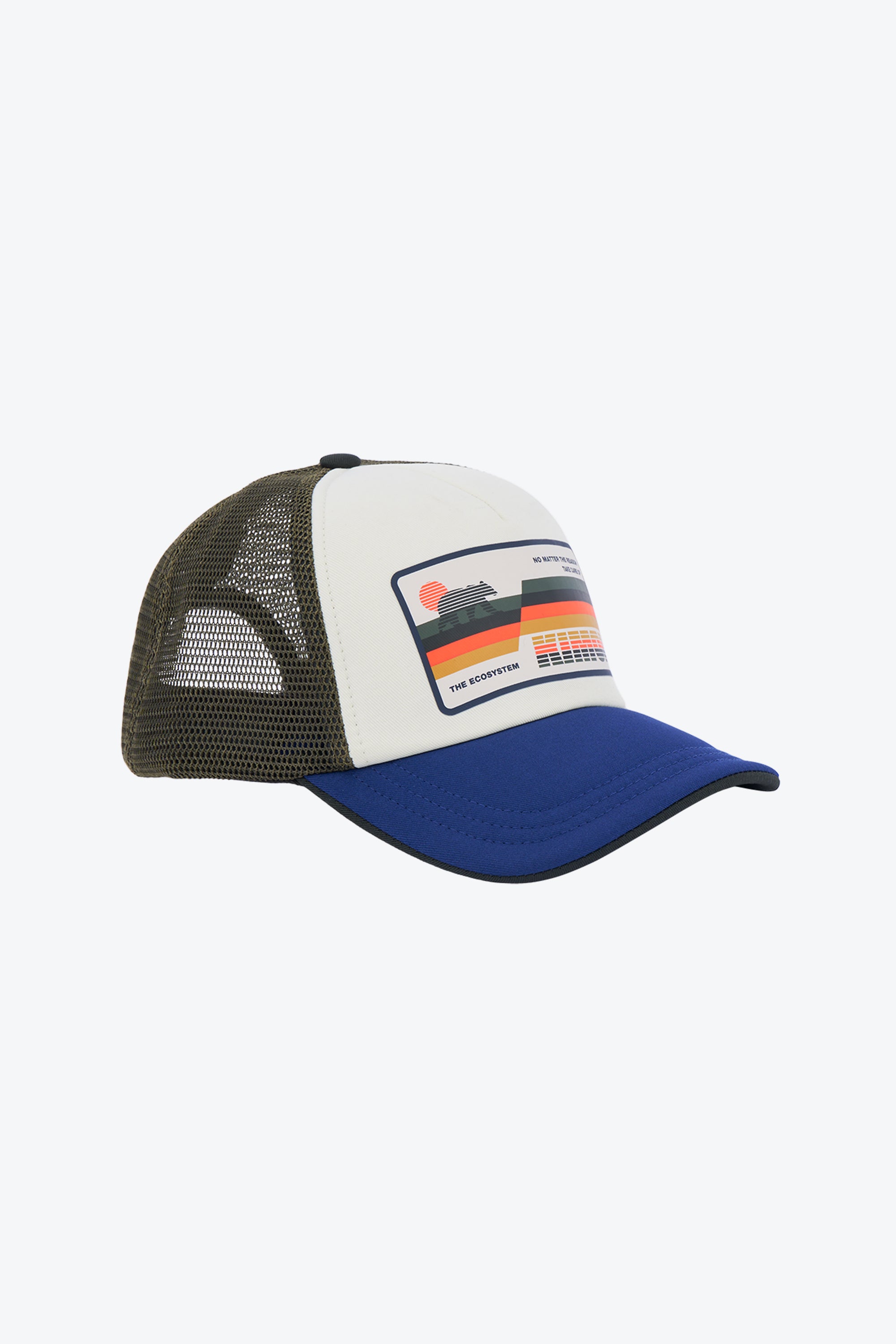 Gorra Striped Bear